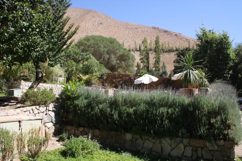 Hotel El Milagro Pisco Elqui Exterior photo